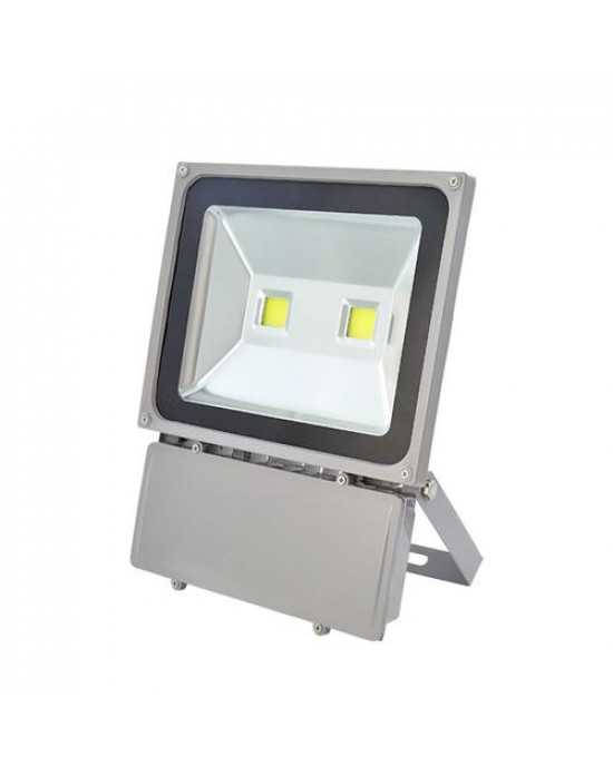 Backpack Flood Light-Grey 100W