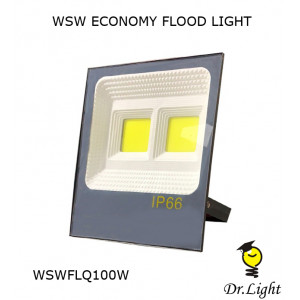 WSW COB FLOOD LIGHT 50w/100w/200w
