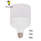 Big Bulb 30w/50w/80w (E27/E40 )